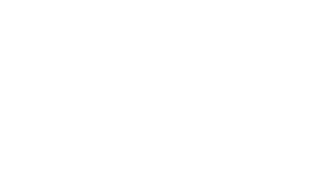 Despos-Logo-whiteSMALL.png